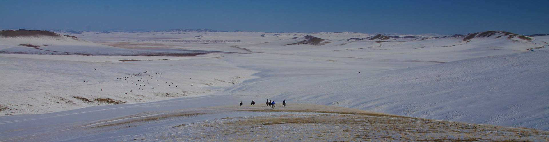Mongolia Travel & Tours