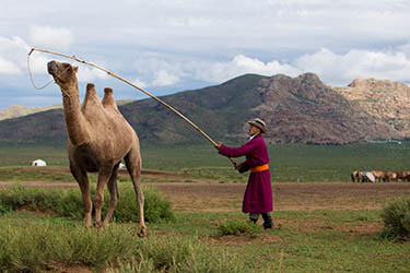 Khogno Khan Park - Mongolia