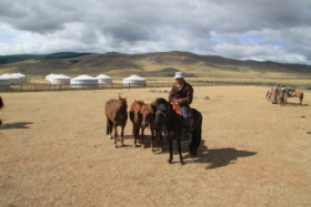 Horse riding tour in Mongolia - 