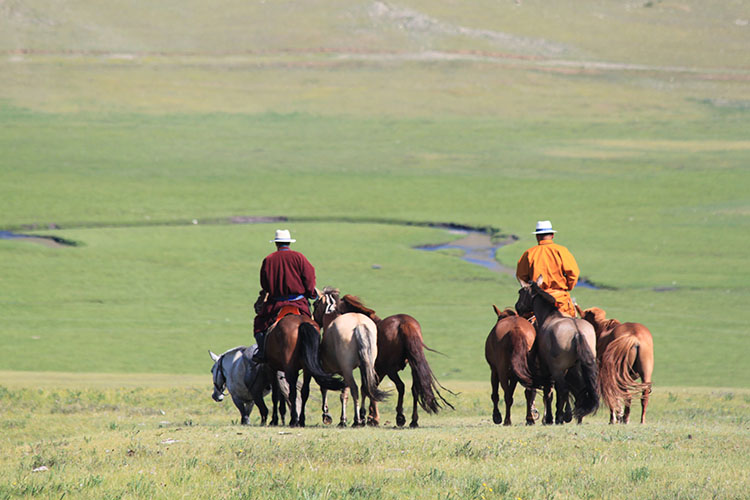 Deluxe premium equestrian tour in Mongolia