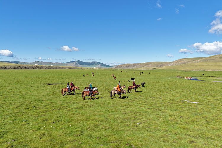 De luxe premium equestrian tour in Mongolia