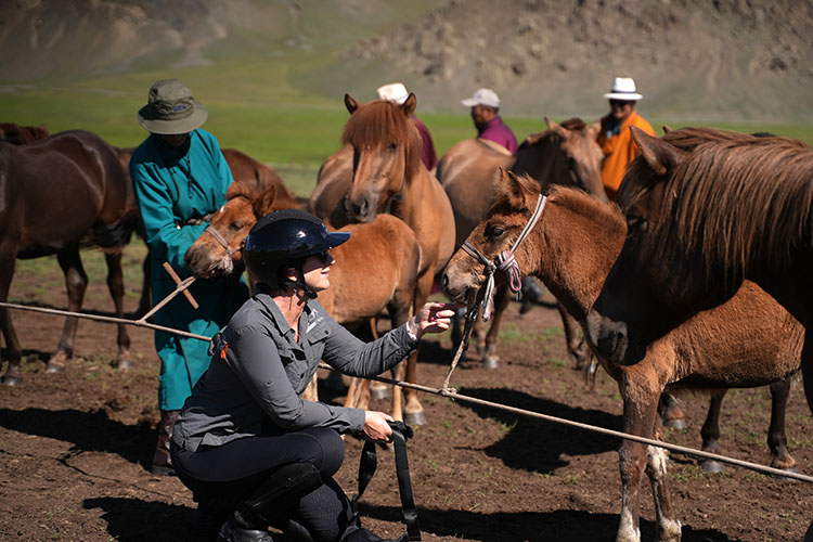 Luxury premium equestrian tour in Mongolia